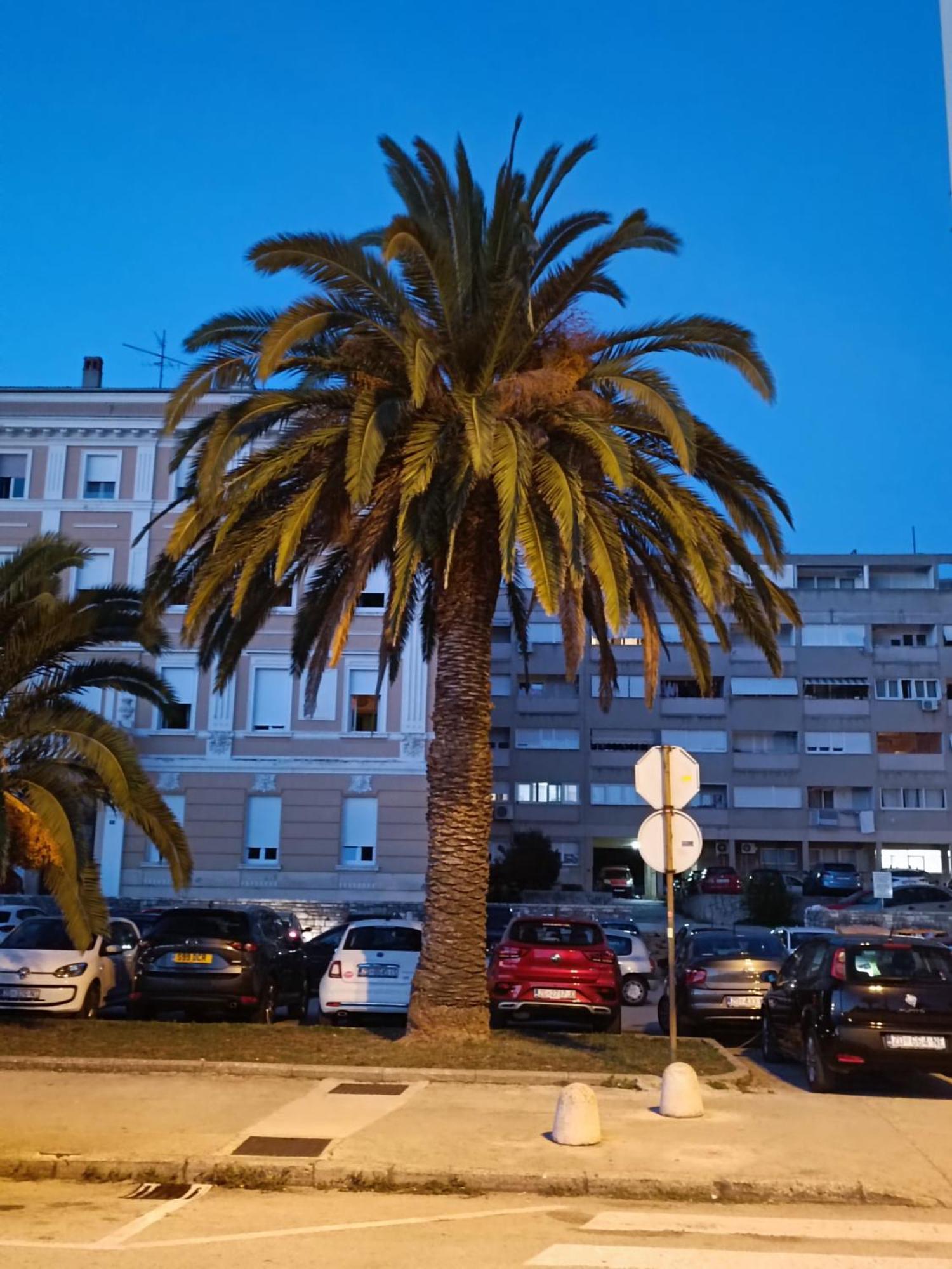 Zadar Beach Apartments Eksteriør bilde